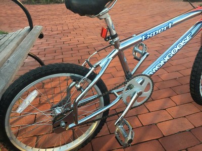 mongoose expert for sale